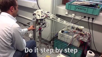 When nature teaches, we learn through playing | Elias Knubben | TEDxMünchen