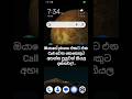 ඔයාගේ call වෙන phone එක්කට යන්නත් පුලුවන් කියල දන්නවද?.. #srilanka #sinhala