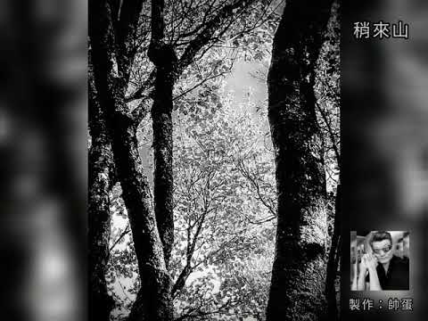 帥蛋-自製MV #孤芳自賞 （場景：稍來山）