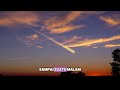 Episode 1: Anak Aspal Terminal Senja (cerita kehidupan)