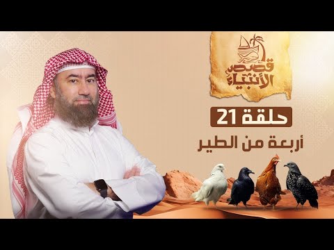 قصة أربعة من الطير ماذا طلب إبراهيم الخليل من ربه نبيل العوضي بصوت يهز القلوب قصة أربعة من الطير ماذا طلب إبراهيم الخليل من ربه نبيل العوضي بصوت يهز القلوب