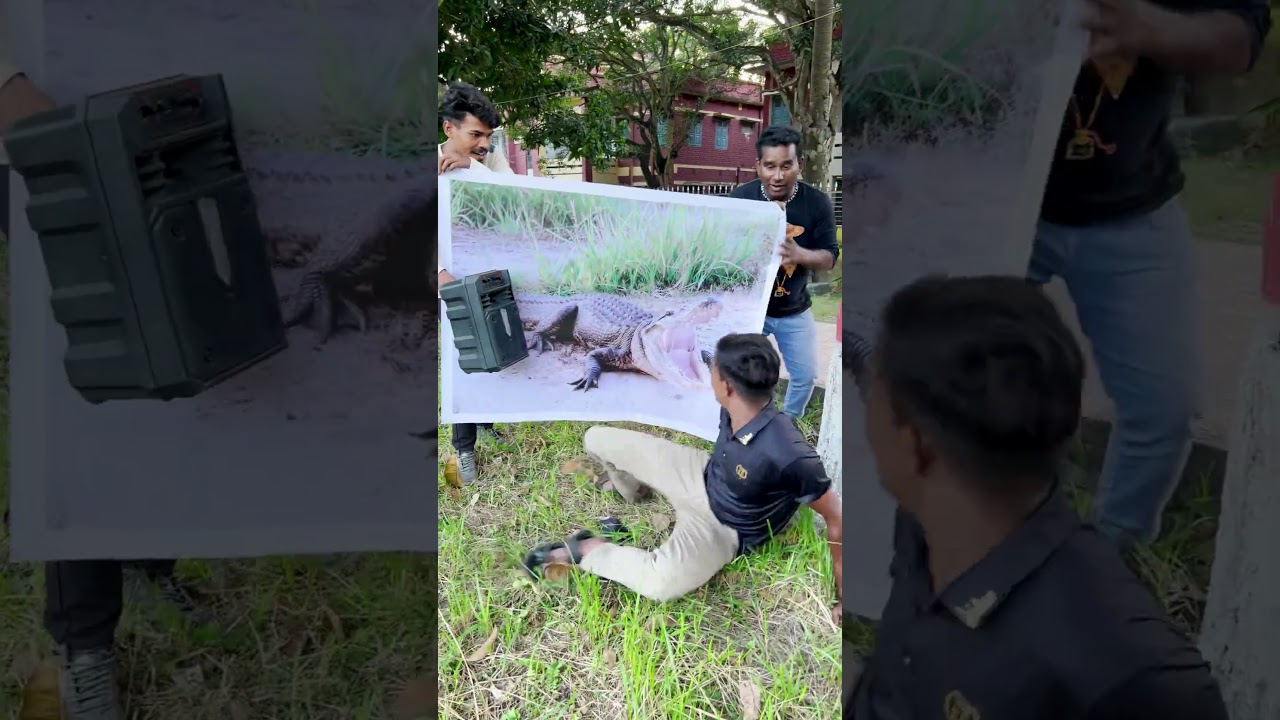 Розыгрыш с фальшивым крокодилом 🐊🐊