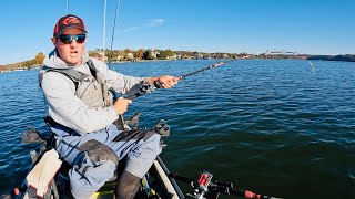 HUGE Live Bait Gets DESTROYED As Soon As It Hit Bottom