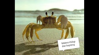 #14 Mentalitas Kepiting (Crab Mentality)