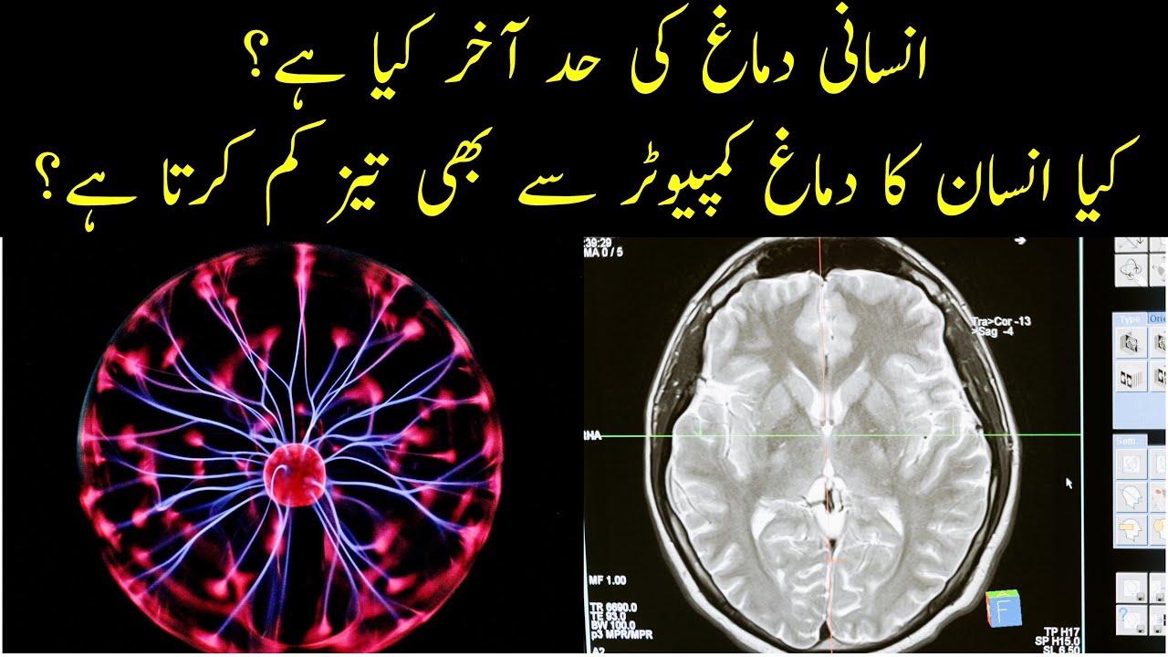 Does The Brain Have A Memory Limit Urdu Hindi YouTube does-the-brain-have-a-memory-limit-urdu-hindi-youtube