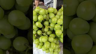 highlight fruits