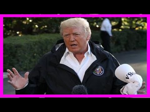 Randy Rainbow's 'desperate Cheeto' Crunches Donald Trump
