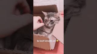 Koli Kırmızı Çizgimizdir