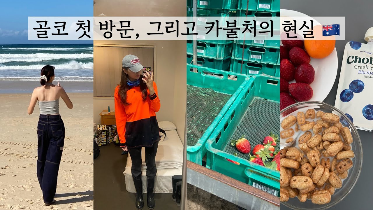 🇦🇺 호주 워홀 2주차 골코 첫 방문, 그리고 카불처의 현실 🍓
