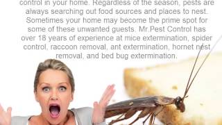 Residential Pest Control Service Shanty Bay ON
