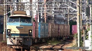JR貨物 EF66 24号機+コキ18B 貨物列車5056レ 横川→広島 2014.10