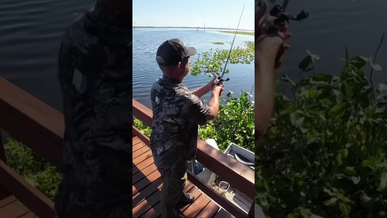 Bellows Gill 5.8 - the leech pattern (swimming sideways)