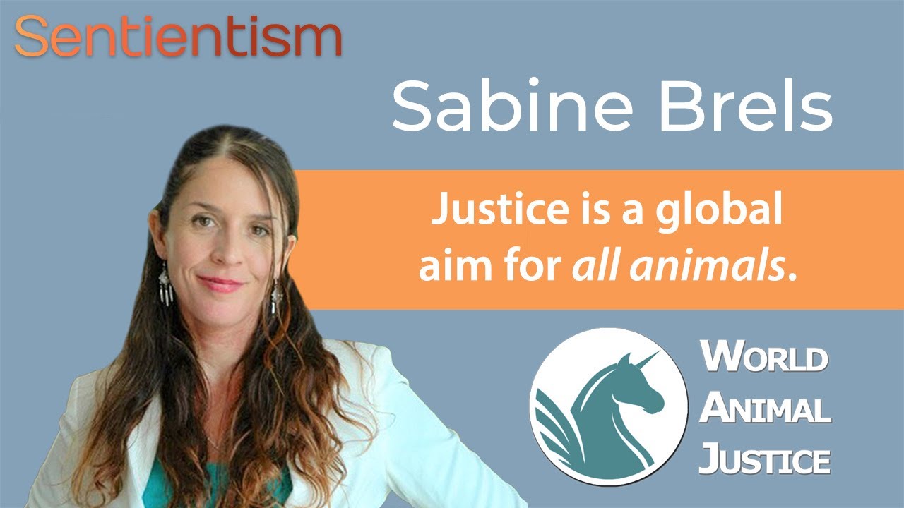 Crimes against animality - Clip from @Sentientism 189 with Sabine Brels of 