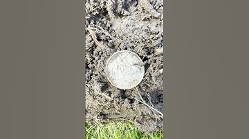Minelab Manticore Silver spill! Metal detecting Australia. #minelab #metaldetecting #treasurehunting