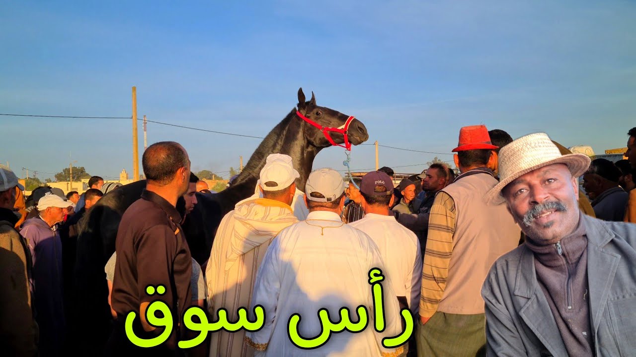 سوق لكفاف كاين المليح سنان الحليب و تعطات فيه 13 مليون أجوء حماسية 💯😍