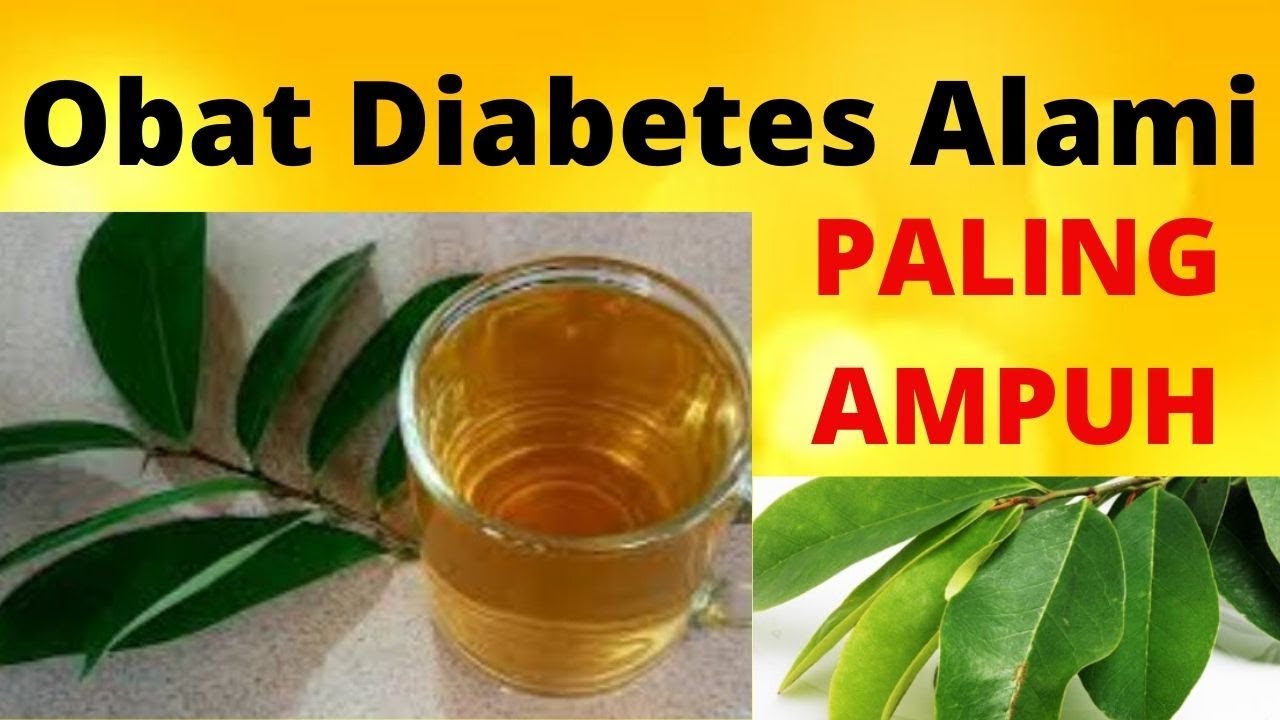 17 Obat Alami Diabetes Paling Digdaya Manjur Dan Mujarab 17 Obat Alami Diabetes Paling Digdaya Manjur Dan Mujarab