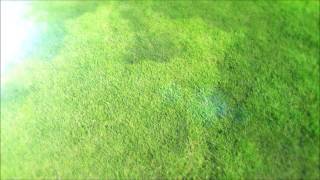 ツチノコ 歌詞 水曜日のカンパネラ ふりがな付 歌詞検索サイト Utaten