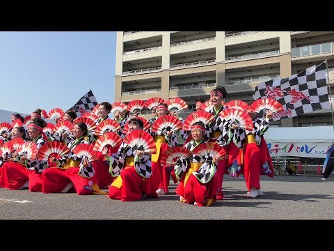 「めっちゃええやんず」すずフェス2019 8/3(土)【白子サンズ】 (2回目)