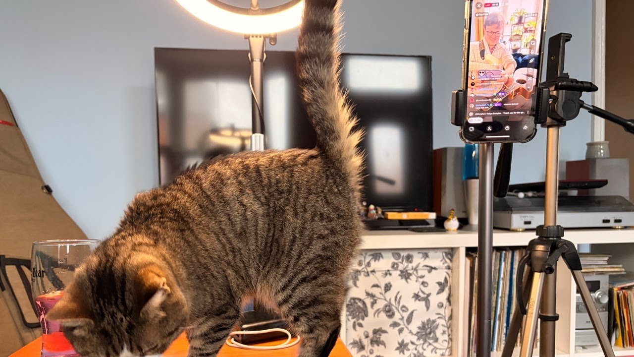 Original Instrumental Relaxing Music