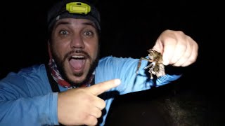 Catching Crawfish In Orlando Florida  (Catch & cook) I Ate The Whole Crawfish!!! When Is Crawfish Season In Florida