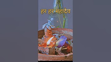 1 सितंबर मासिक शिवरात्रि के दिन करें धन संपदा का अचूक उपाय!#pradeep_ji_mishra #shortvideo #mahadev