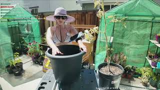 Baking in my Backyard Garden before my IPMS Meeting | Hobby Night Hangout #Gardening #Outdoors