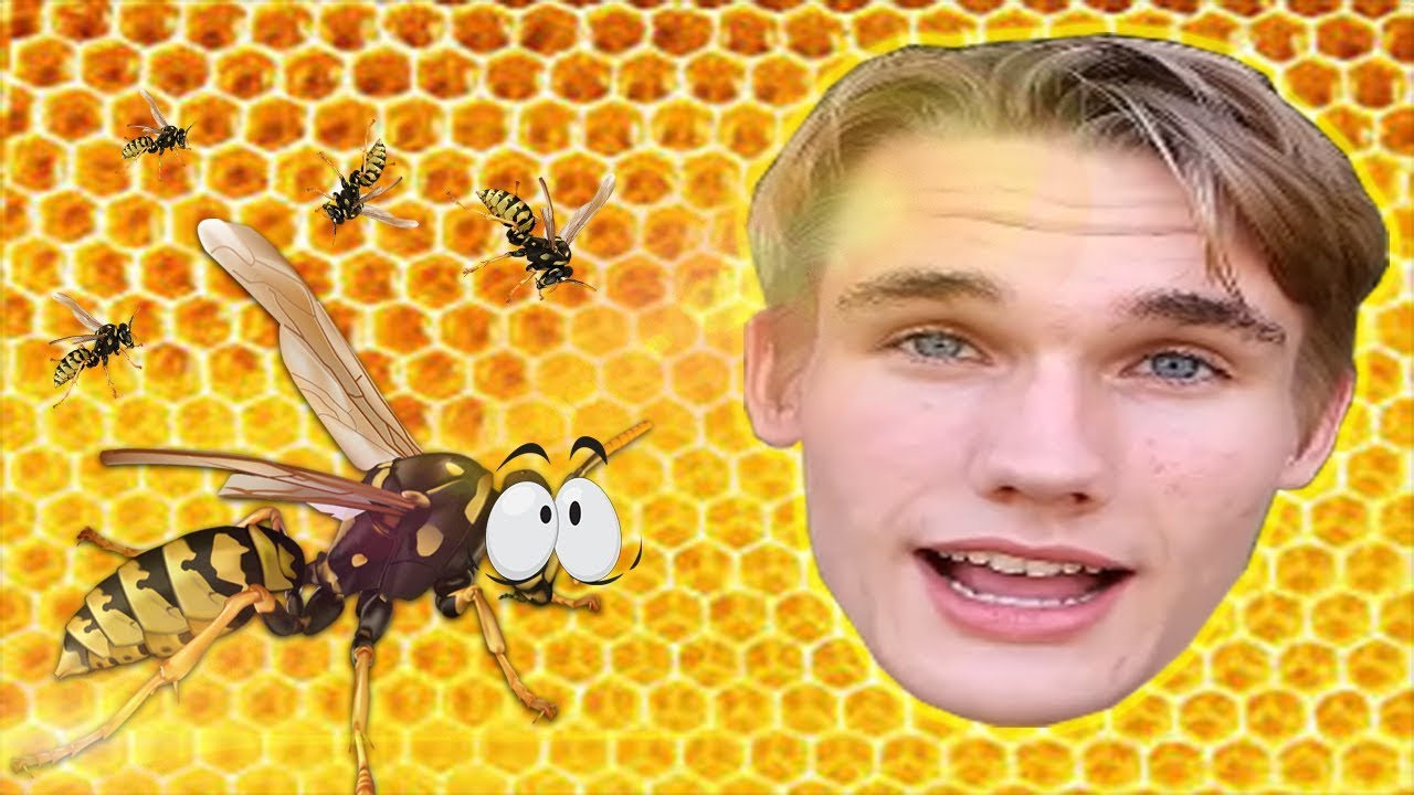 KEEP THIS KID AWAY FROM WASPS! - YouTube
