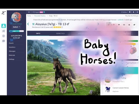 Breeding Some Dream Foals!