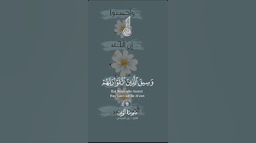 #قران_كريم #alquran #لايك #دعاء #ترند #تلاوة_خاشعة #اكسبلور #تيك_توك #دويتو #راحة_نفسية