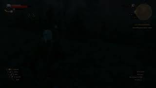 The Witcher 3: Wild Hunt - Teleportation from the edge of the map (BUG).