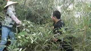 1/4 Real World Happy Farm @ 台灣聖山(耕耘&收穫) 20091115