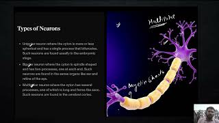 Neural control and coordination - L 2 GLIAL CELL TYPES OF NEURON GOVIND TOMAR Dr Tom NEET 2024