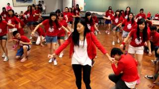 MKS RED HOUSE DANE