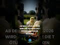 8.mp4