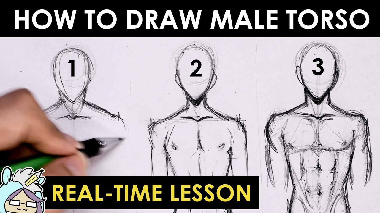 How to Draw the Neck & Shoulders (Male) - YouTube