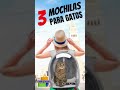 MOCHILAS PARA GATOS 😺 TOP 3 PARA TRANSPORTAR A TU GATO FELIZ #shorts