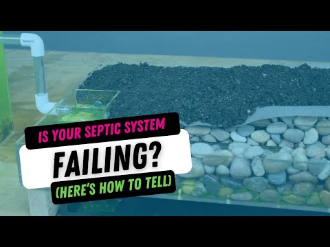 Septic System Failing? Signs & Fixes You Need to Know | Fresh N Clean Septic