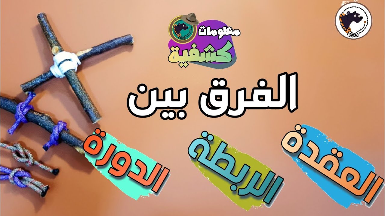 مالفرق بين العقدة و الربطة و الدورة في الكشافة مع مثال لكل واحدة منهم