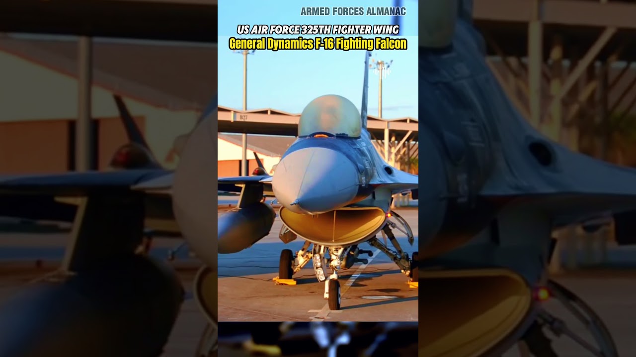 F-16 USAF 325th Fighter Wing AGRESSORS 