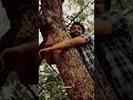 Telugu whatsapp status ❣️❣️