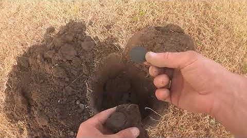 Back to the field with Simplex and Detech 13