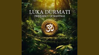 Om Namah Shivaya Shiva Om Namah