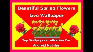 Beautiful spring Flowers Live Wallpaper 2018|Best Live Wallpapers screenshot 3