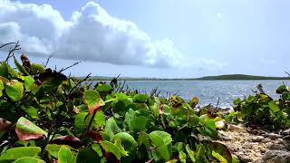 Cayo De Tierra Trail is a hiking trail near Esperanza in Vieques, Puerto Rico.