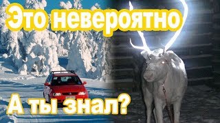 ТОП 5 самых интересных и НЕВЕРОЯТНЫХ фактов об автомобилях # 2