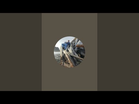BEATING GTA5 LIVE