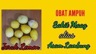 JERUK LEMON OBAT AMPUH SAKIT MAAG