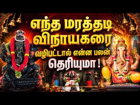 மரத்தடி விநாயகர் வழிபாடு – எந்த மரத்திற்கு என்ன சிறப்பு? #ganpati #ganesh