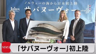 “日本初”ノルウェー産天然サバを「生」で空輸　首都圏スーパーなどで販売（2021年9月24日）