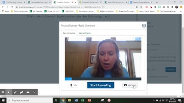Canvas, Google Docs, and Vocaroo: Time-Saving With Narration And Recording